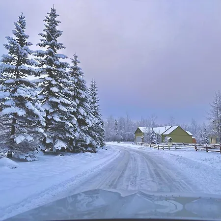 Beautiful And Comfy Palmer Gem Near Hatcher Pass Wasilla Exterior photo