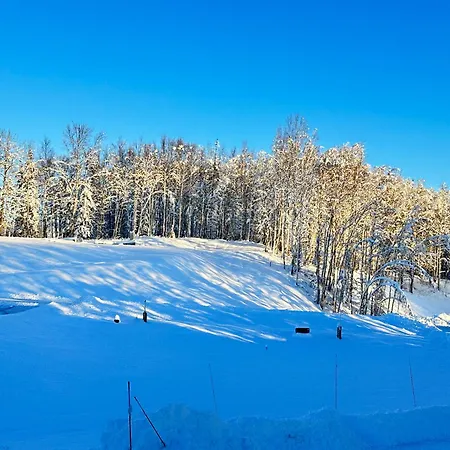 Beautiful And Comfy Palmer Gem Near Hatcher Pass Wasilla Exterior photo