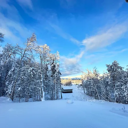 Beautiful And Comfy Palmer Gem Near Hatcher Pass Wasilla Exterior photo