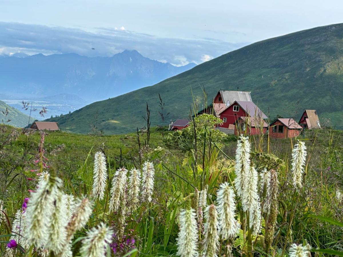 Beautiful And Comfy Palmer Gem Near Hatcher Pass * Wasilla